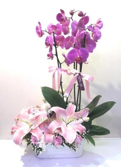 Orkideli AranjmaLC204